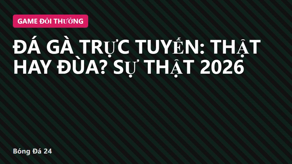 Đá gà trực tuyến: Thật hay đùa? Sự thật 2026